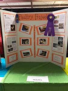 40012757_2091417040871464_3068657444688232448_n